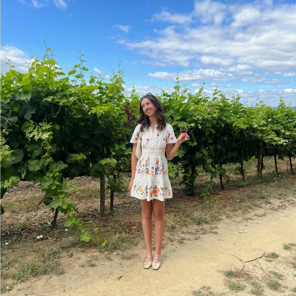 Anthropologie The Somerset Embroidered Mini Dress Size XS (worn once) - Picture 4 of 4